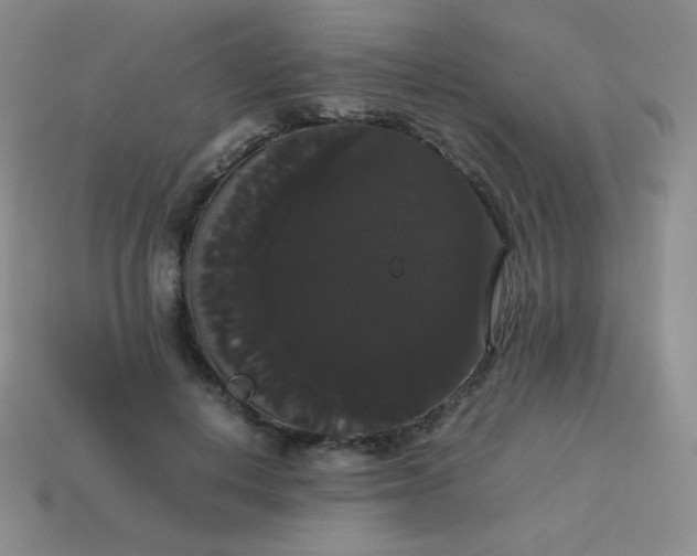 X0000113850648200910081646