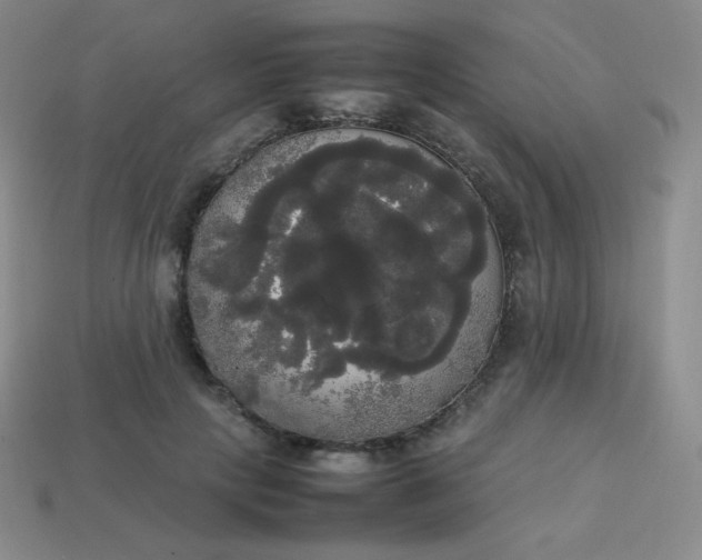 X0000113850649200910081646