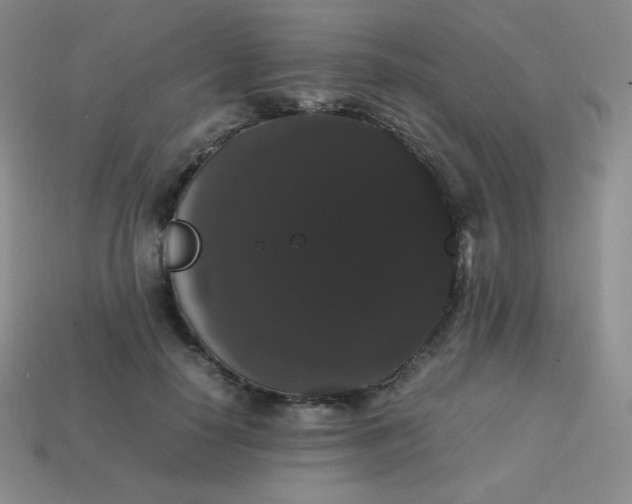 X0000113850650200910081646