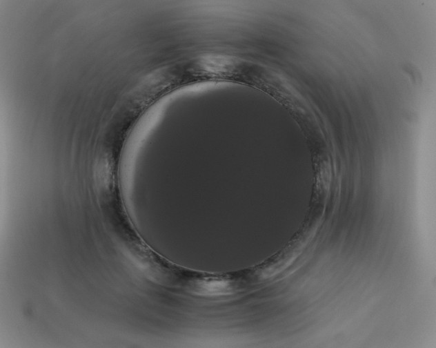 X0000113850651200910081646