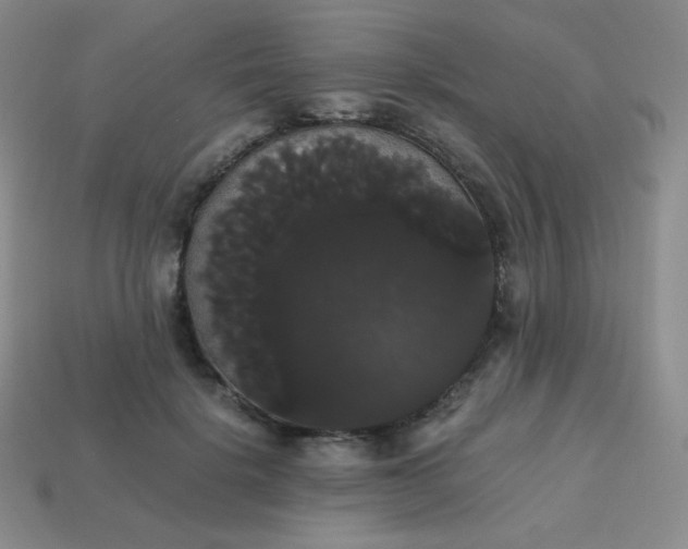 X0000113850652200910081646