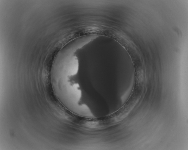 X0000113850653200910081646