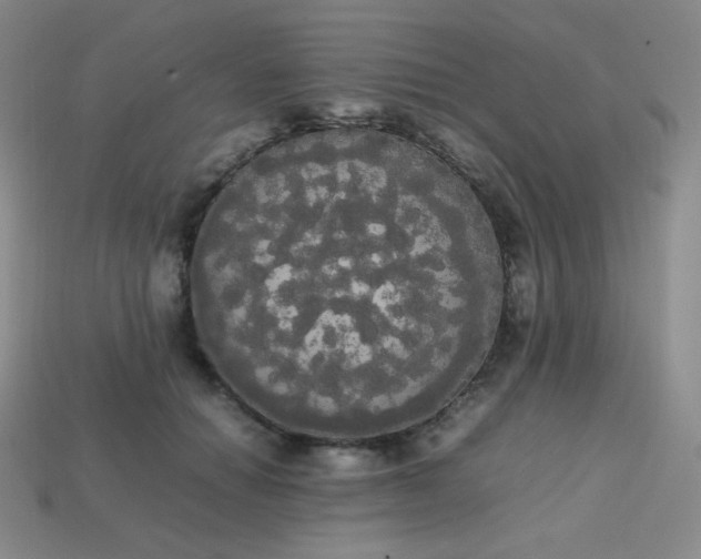 X0000113850654200910081647