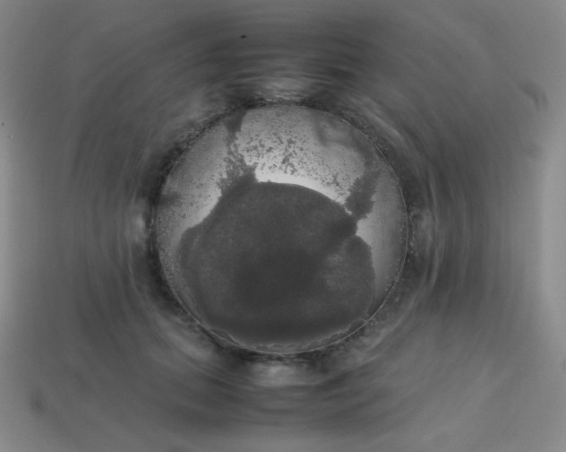 X0000113850655200910081647