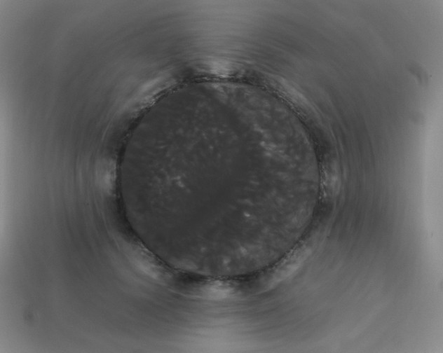 X0000113850656200910081647