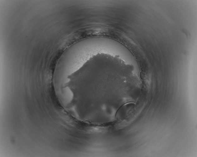 X0000113850657200910081647