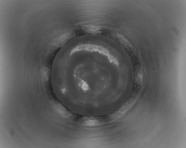 X0000113850658200910081647