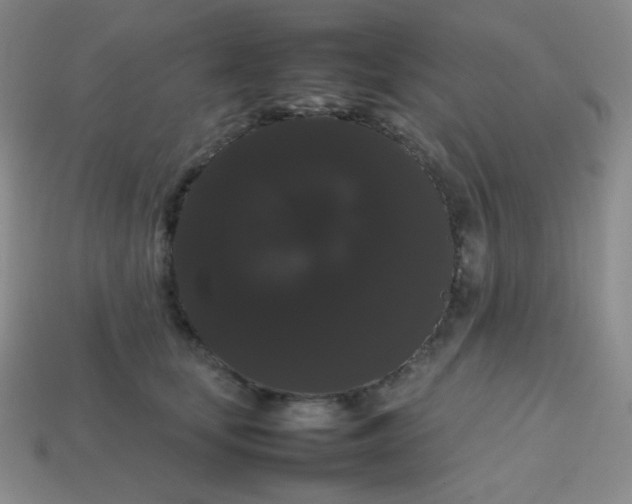 X0000113850659200910081647