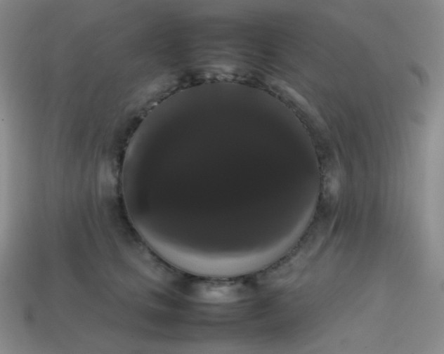 X0000113850661200910081647