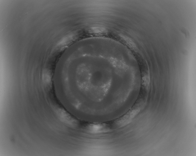 X0000113850662200910081647