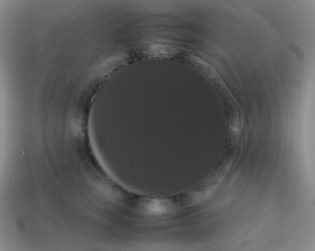 X0000113850663200910081647