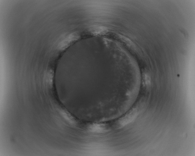 X0000113850664200910081647