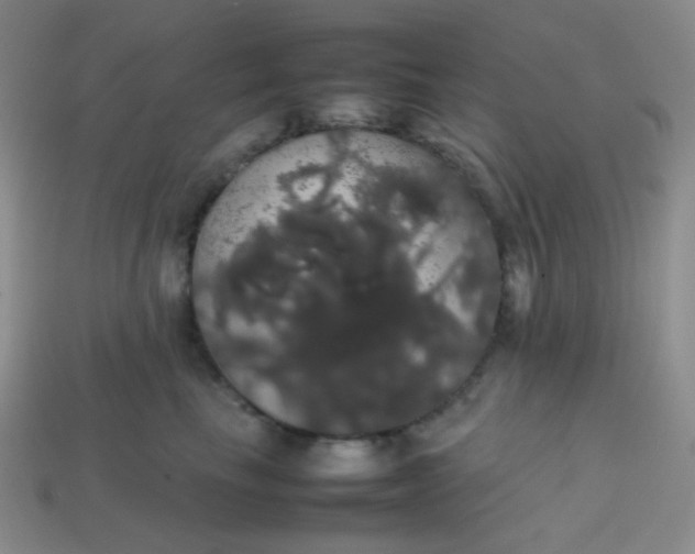 X0000113850665200910081647