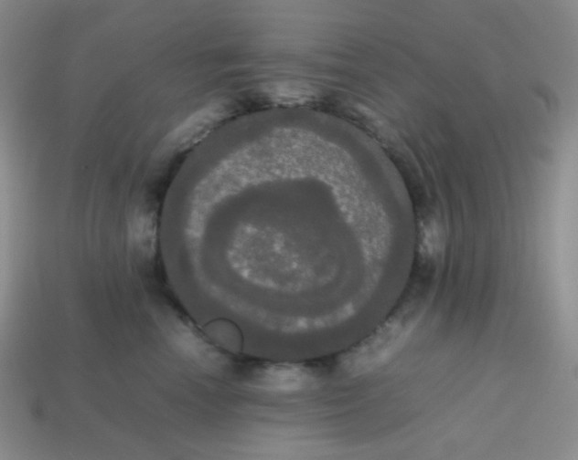 X0000113850666200910081647