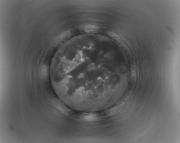 X0000113850667200910081647