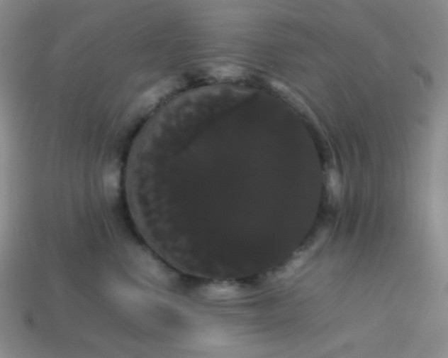 X0000113850668200910081647