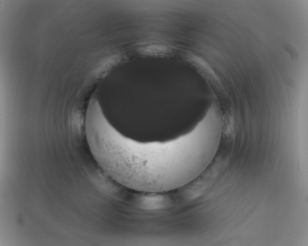 X0000113850669200910081647