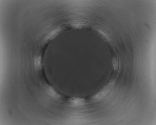 X0000113850670200910081647