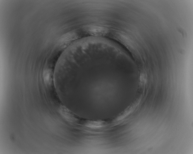 X0000113850671200910081647