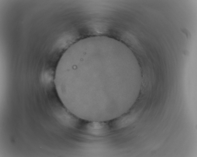 X0000113850672200910081647