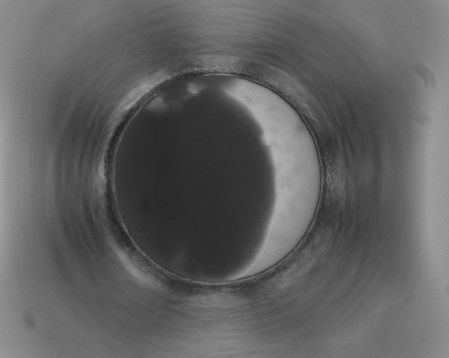 X0000113850674200910081646