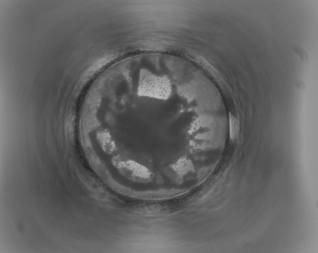 X0000113850675200910081646