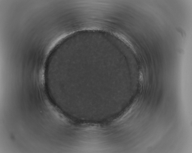 X0000113850676200910081646