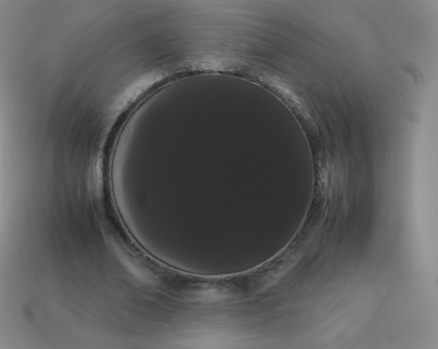 X0000113850678200910081646