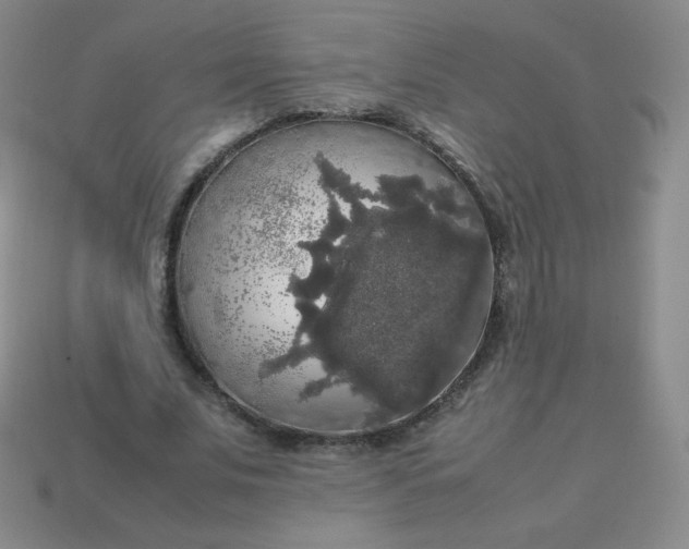 X0000113850679200910081646