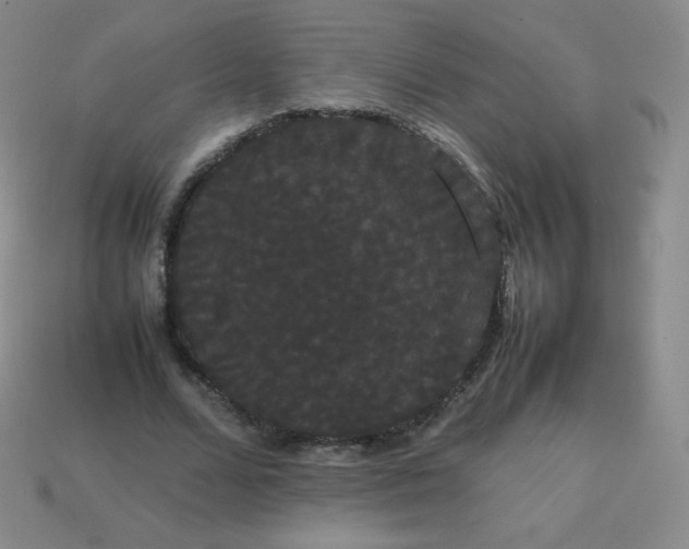 X0000113850680200910081646