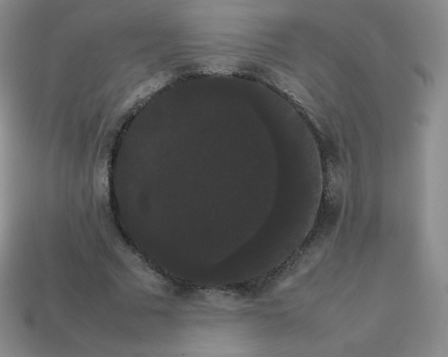 X0000113850681200910081646