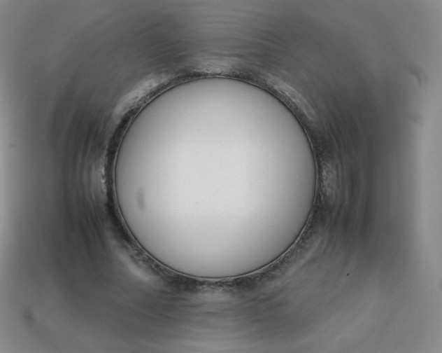 X0000113850682200910081646