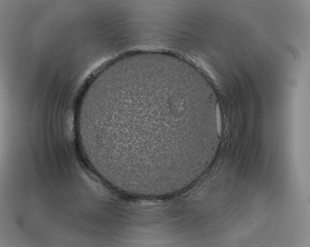 X0000113850684200910081646