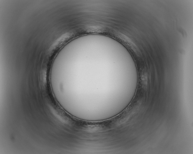 X0000113850686200910081646