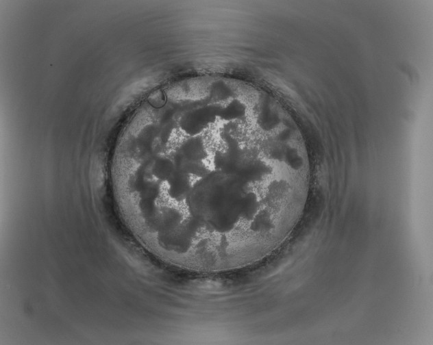 X0000113850687200910081646