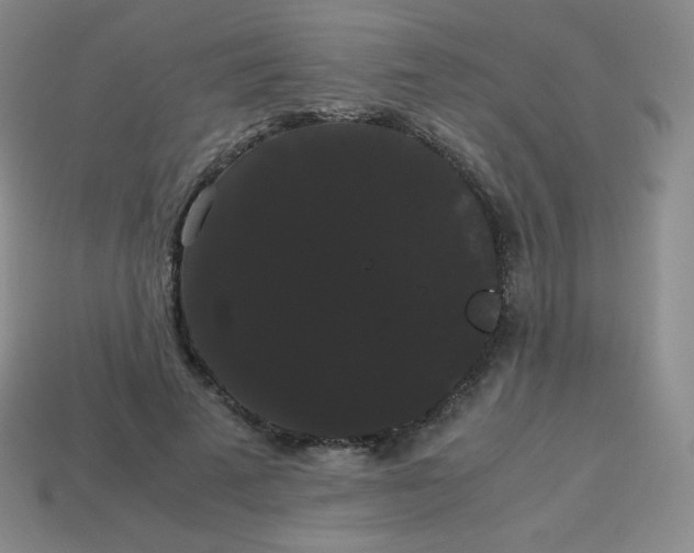 X0000113850689200910081646