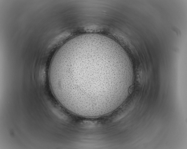 X0000113850690200910081646