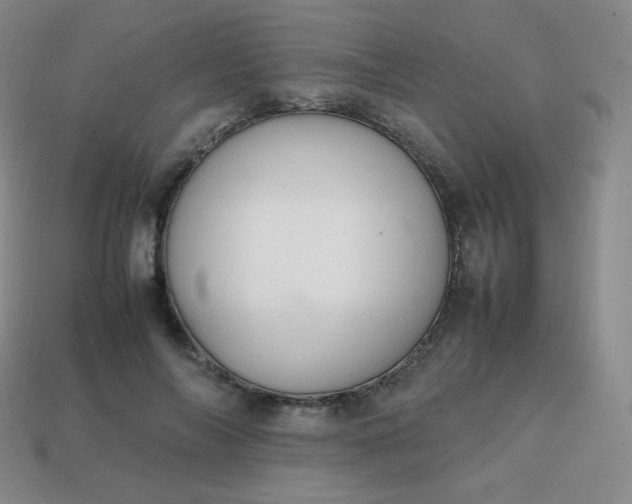 X0000113850694200910081646