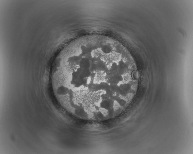 X0000113850695200910081646