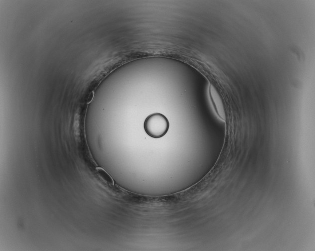 X0000113850696200910081646