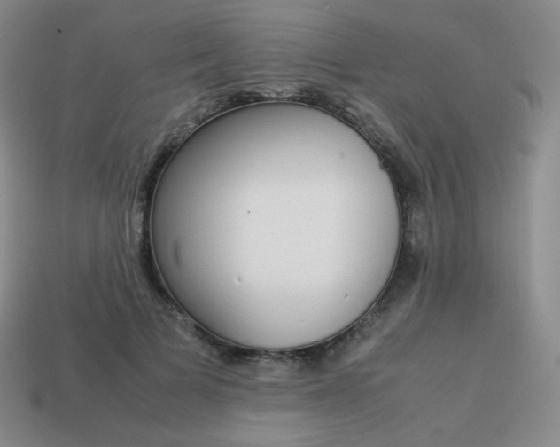 X0000113850697200910081646