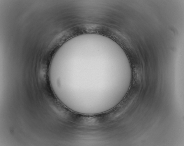 X0000113850698200910081646