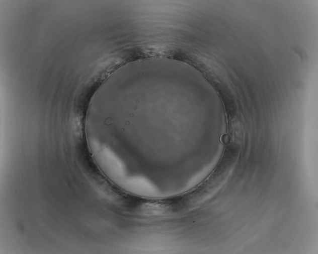 X0000113850699200910081646