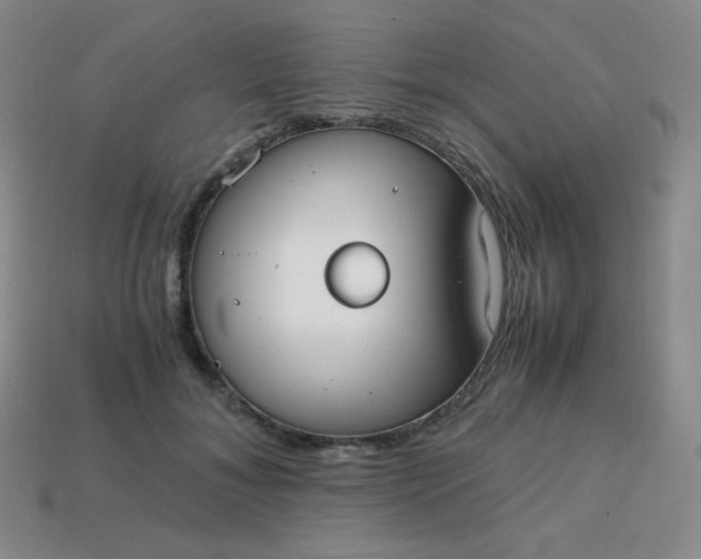 X0000113850700200910081646