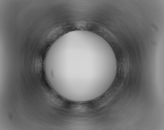 X0000113850702200910081646