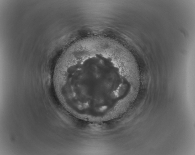 X0000113850703200910081646