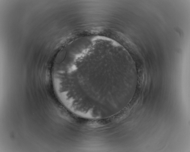 X0000113850704200910081646