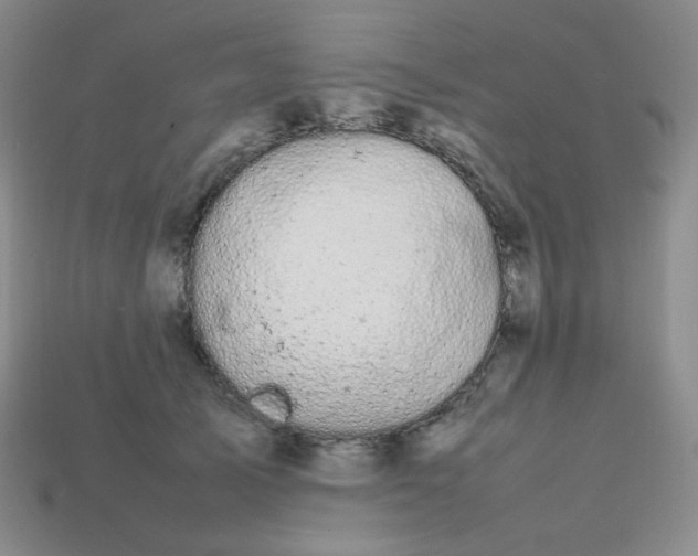 X0000113850705200910081646