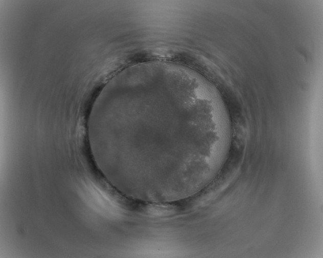 X0000113850707200910081646