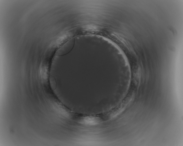 X0000113850708200910081646